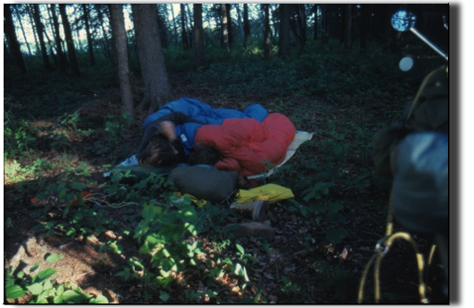 after the party … a fine sleep under the Alberta sky after the party … a fine sleep under the Alberta sky