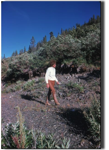 looking for berries and bears, Kathleen Lake, Yukon looking for berries and bears, Kathleen Lake, Yukon