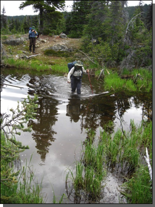 Hiking the flooded Burnt Bridge Trail